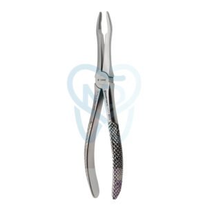 Fig. 41. Upper Roots
