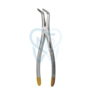 Fig. 46. Upper Roots