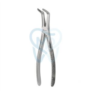 Fig. 46. Upper Roots
