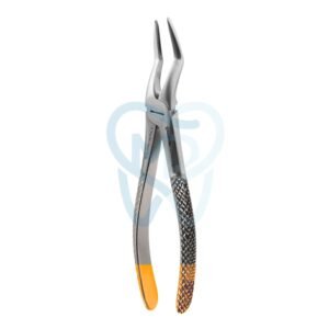 Fig. 51A. Upper Roots