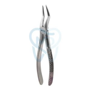 Fig. 51A. Upper Roots