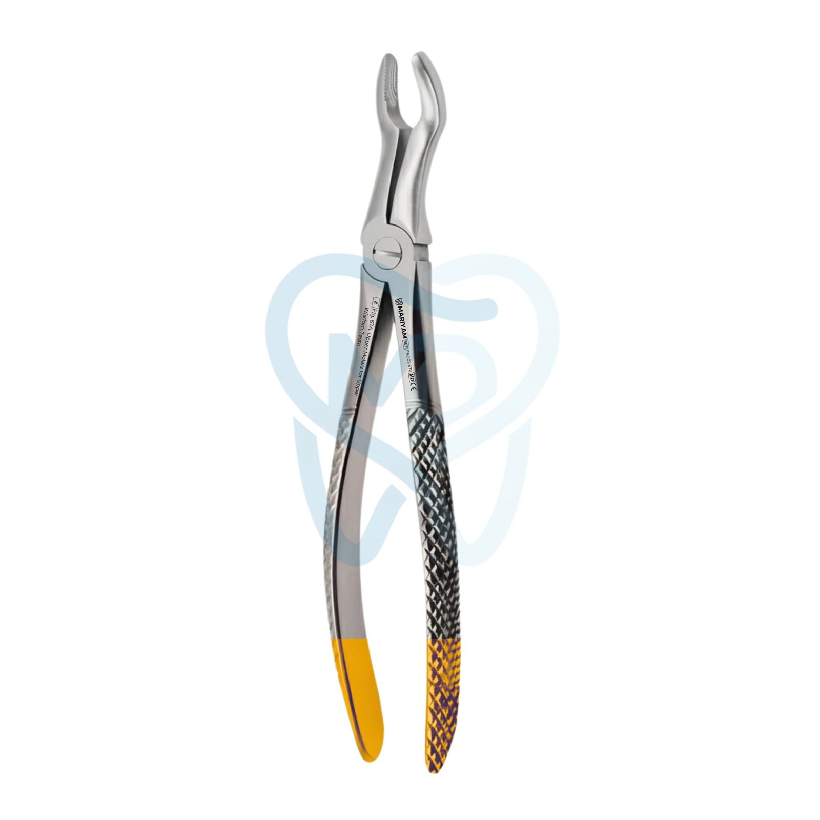 F9001-67a Fig. 67A. Upper Molars for Upper Wisdom Teeth - Image 1