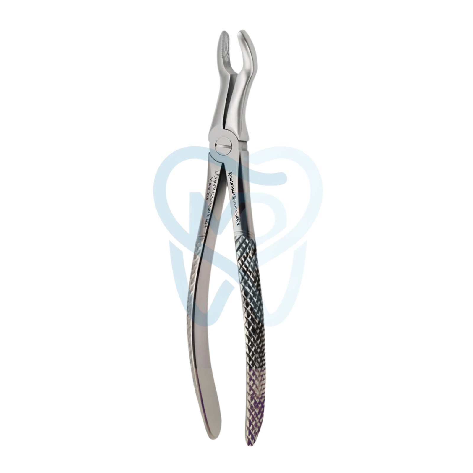 F9001-67a Fig. 67A. Upper Molars for Upper Wisdom Teeth - Image 1