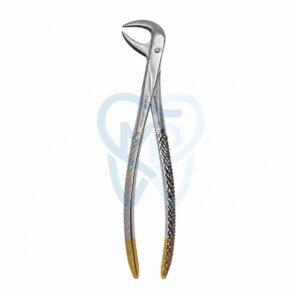 Fig. 86B. Lower Molars