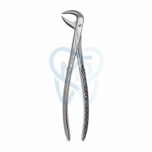Fig. 86B. Lower Molars