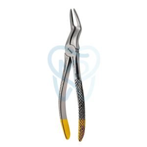 Fig. 97. Upper Roots