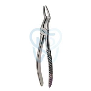 Fig. 97. Upper Roots