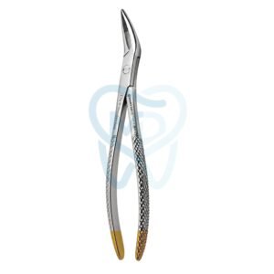 Fig. 98. Witzel (Upper Roots)