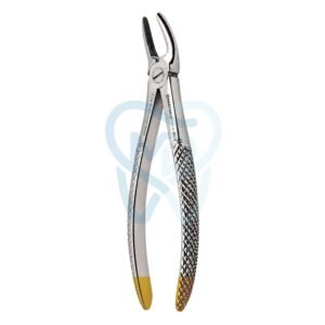 Fig. 99. Hertz (Lower Molars)