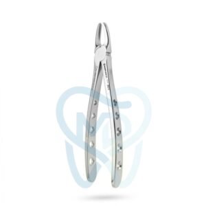 Fig. 1. Upper Incisors and Molars