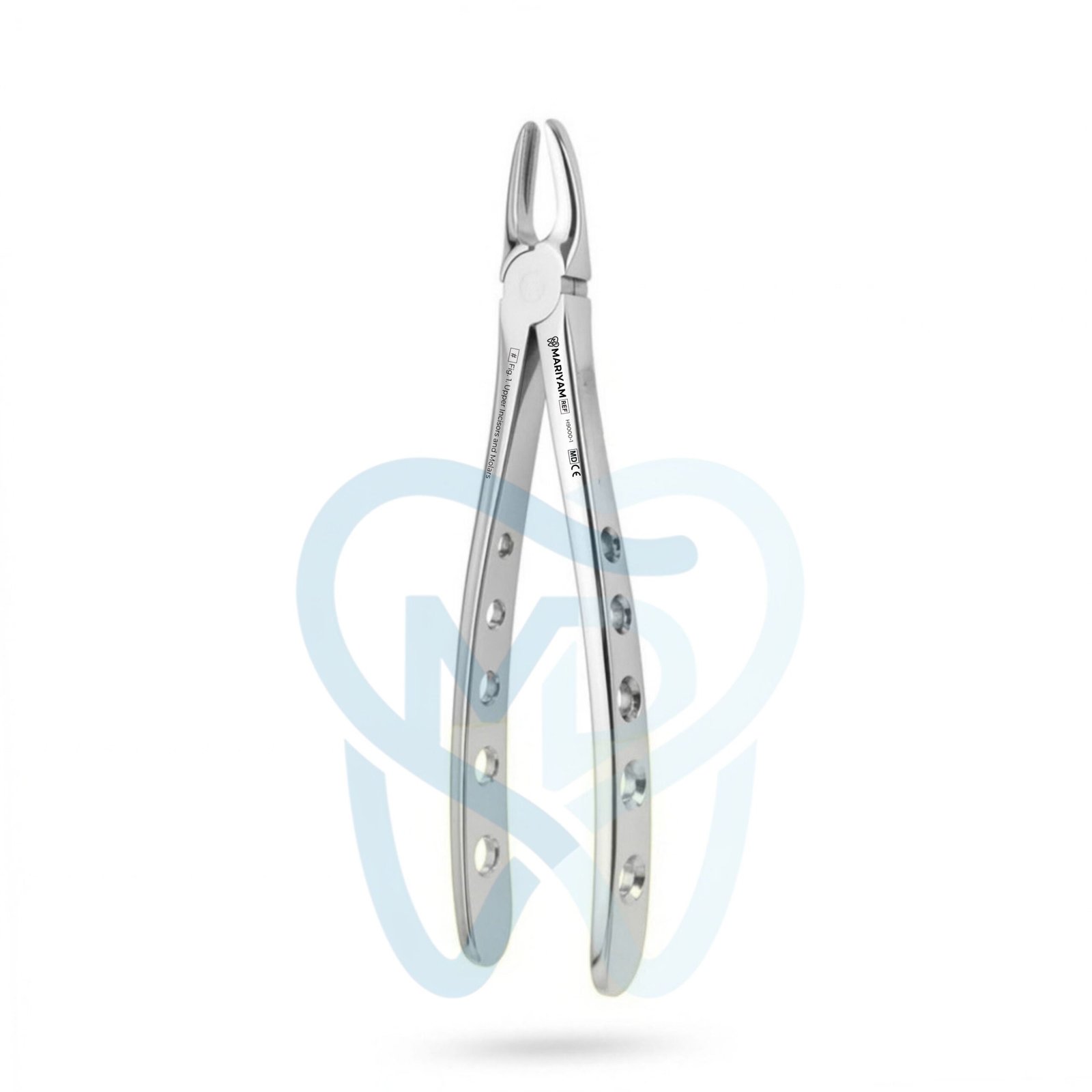 H9000-1 Fig. 1. Upper Incisors and Molars - Image 1