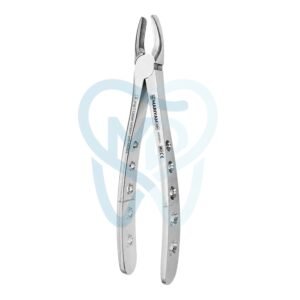 Fig. 1. Upper Incisors and Molars