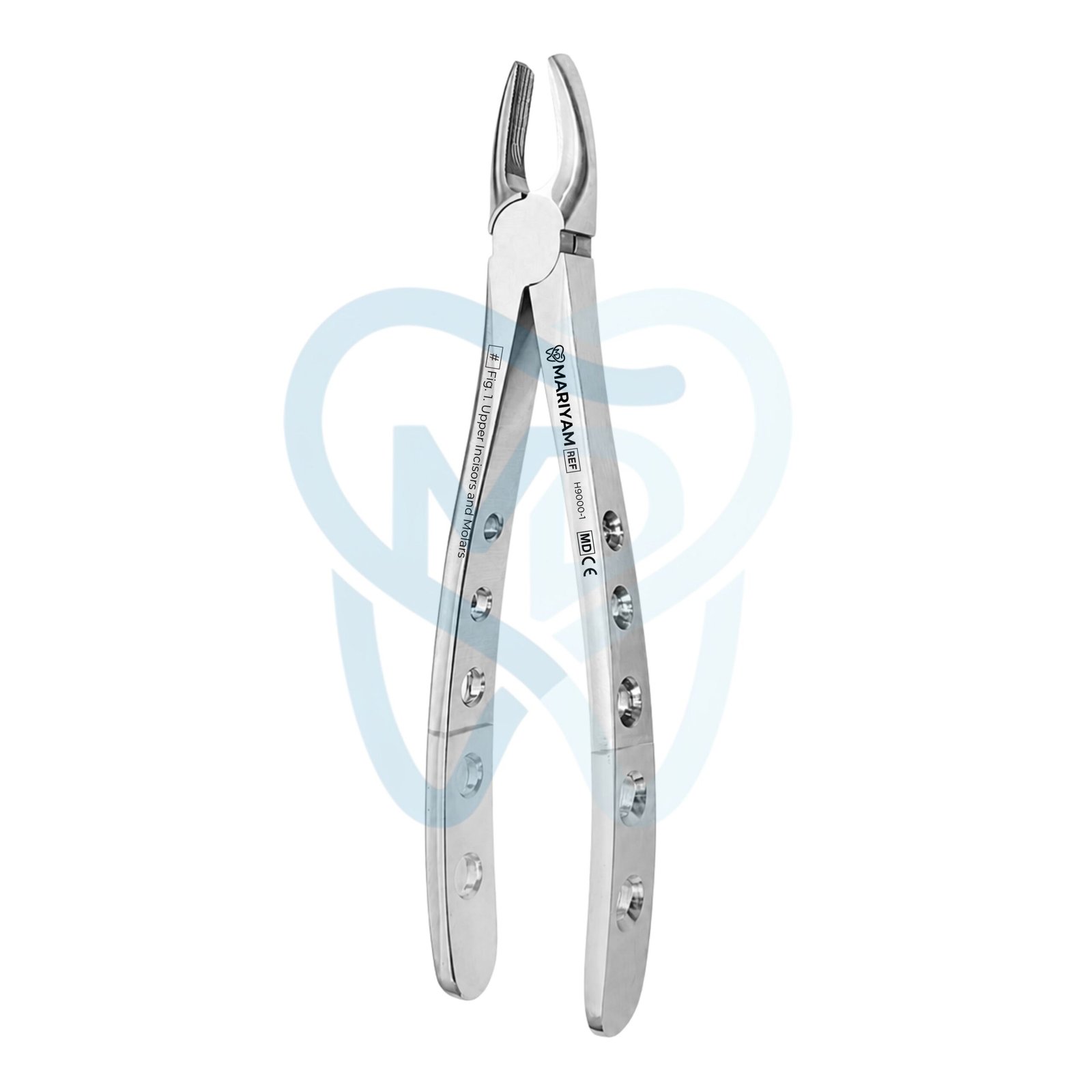 H9000-1 (2) Fig. 1. Upper Incisors and Molars - Image 1