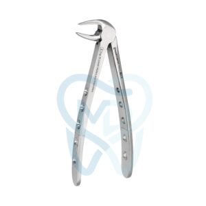 Fig. 13. Lower Molars and Premolars
