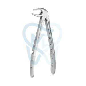 Fig. 13. Lower Molars and Premolars