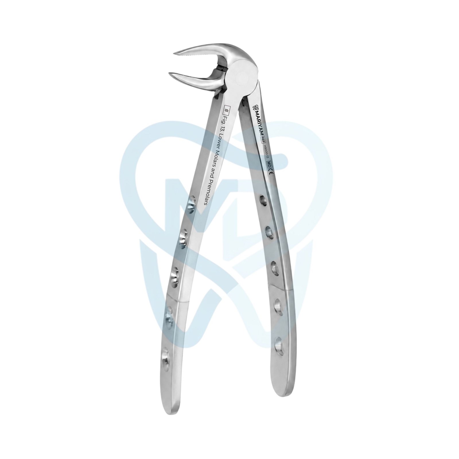 H9000-13 (3) Fig. 13. Lower Molars and Premolars - Image 1