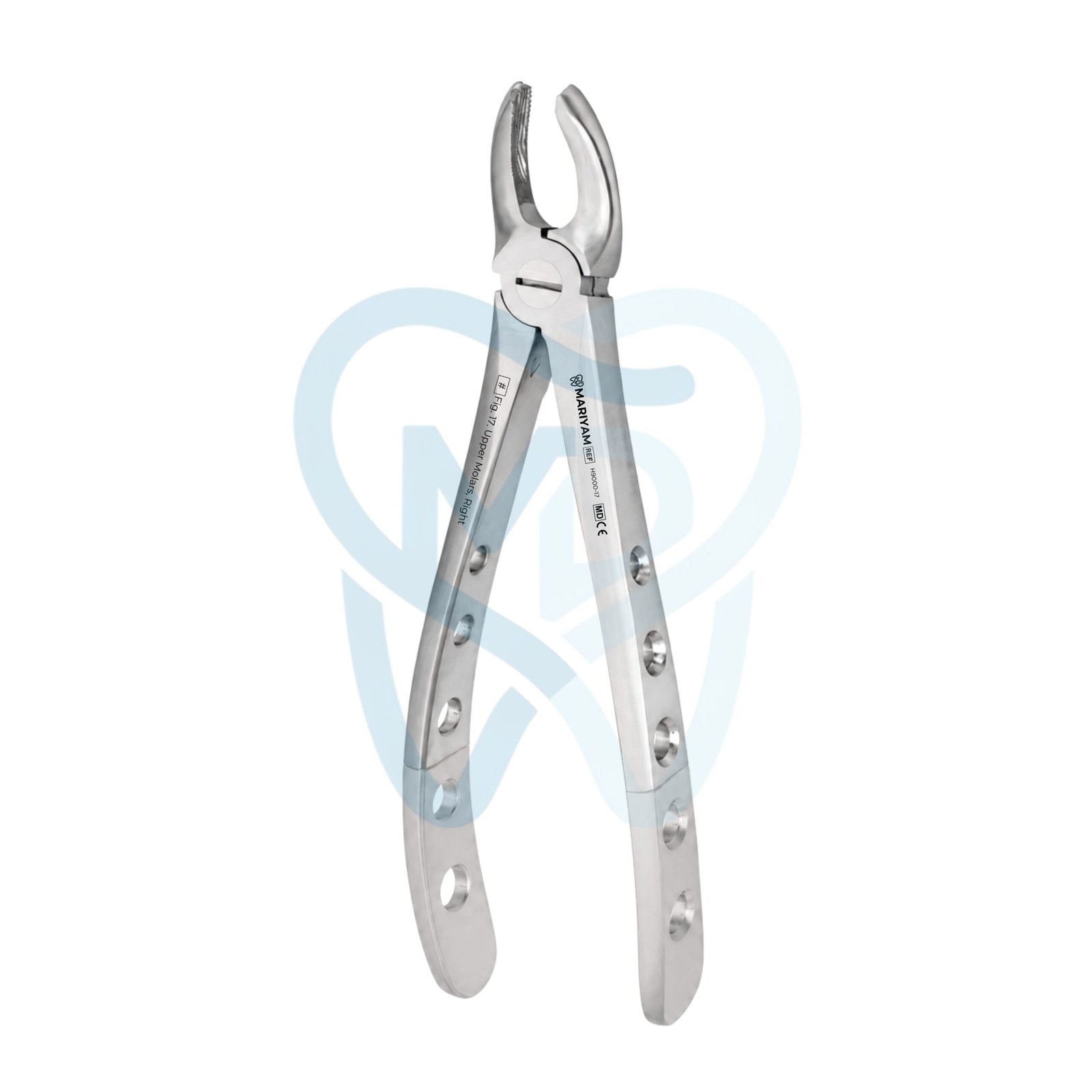 H9000-17 (2) Fig. 17. Upper Molars, Right - Image 1