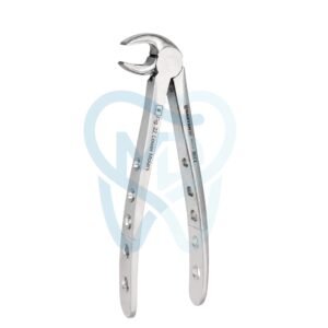 Fig. 22. Lower Molars