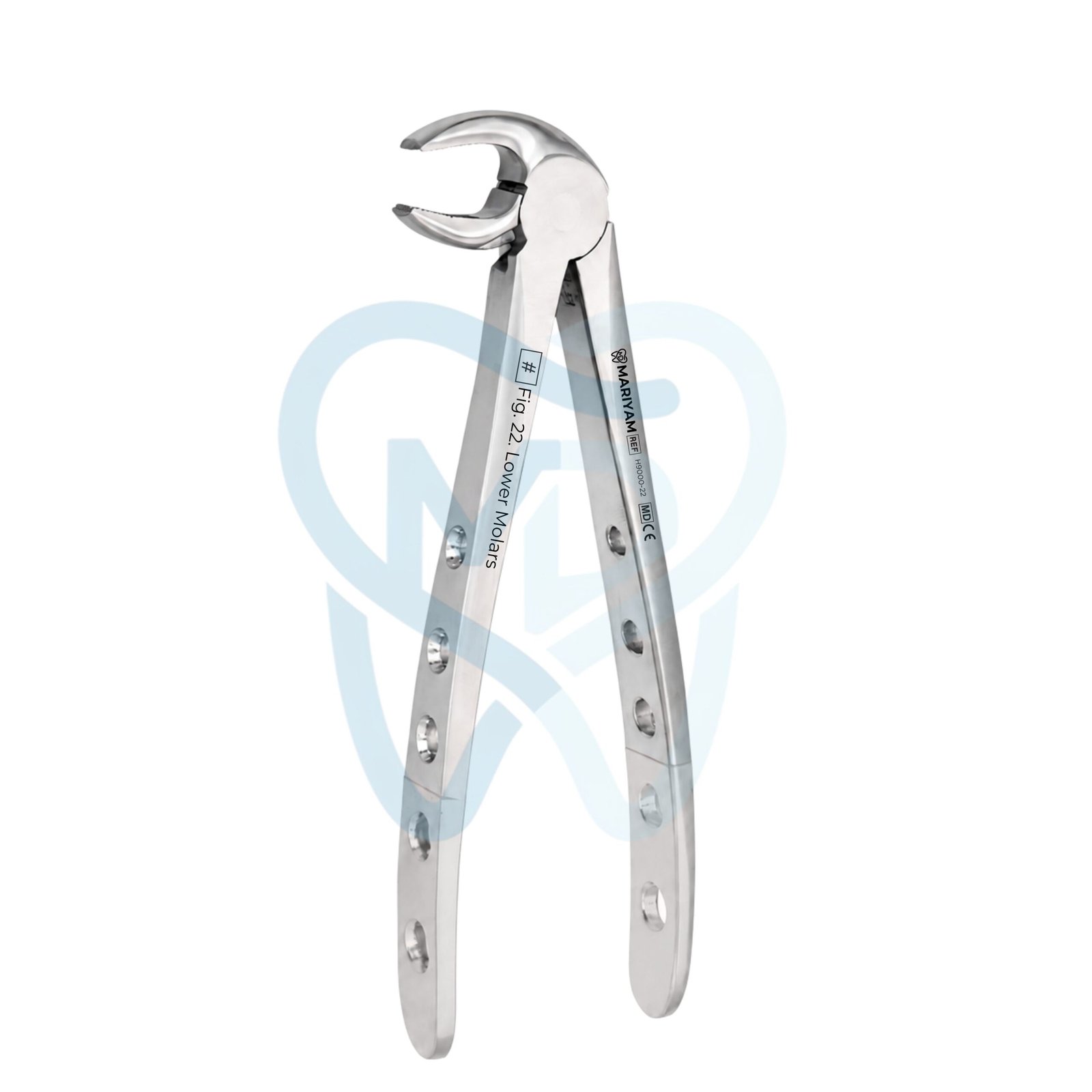 H9000-22 Fig. 22. Lower Molars - Image 1