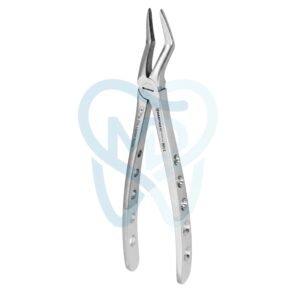 Fig. 51A. Upper Roots
