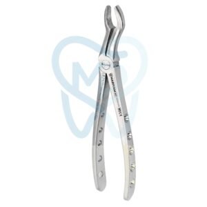 Fig. 67A. Upper Molars for Upper Wisdom Teeth