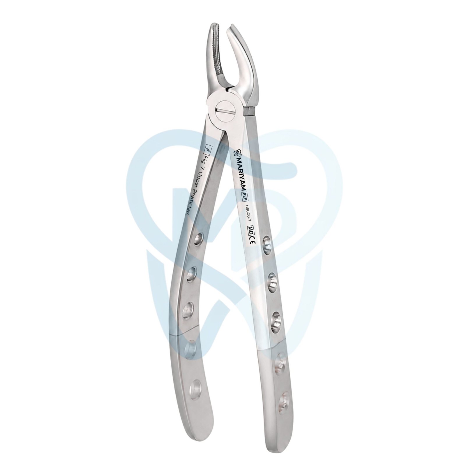 H9000-7 Fig. 7. Upper Premolars - Image 1