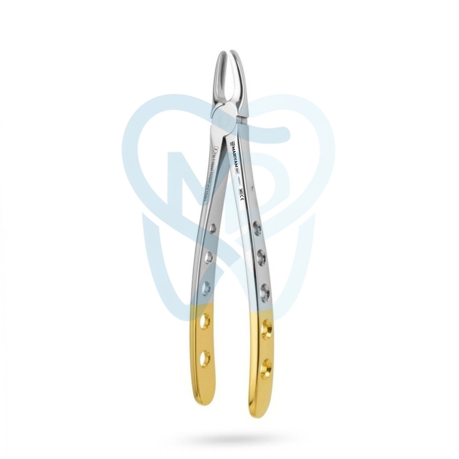 H9001-1 Fig. 1. Upper Incisors and Molars - Image 1