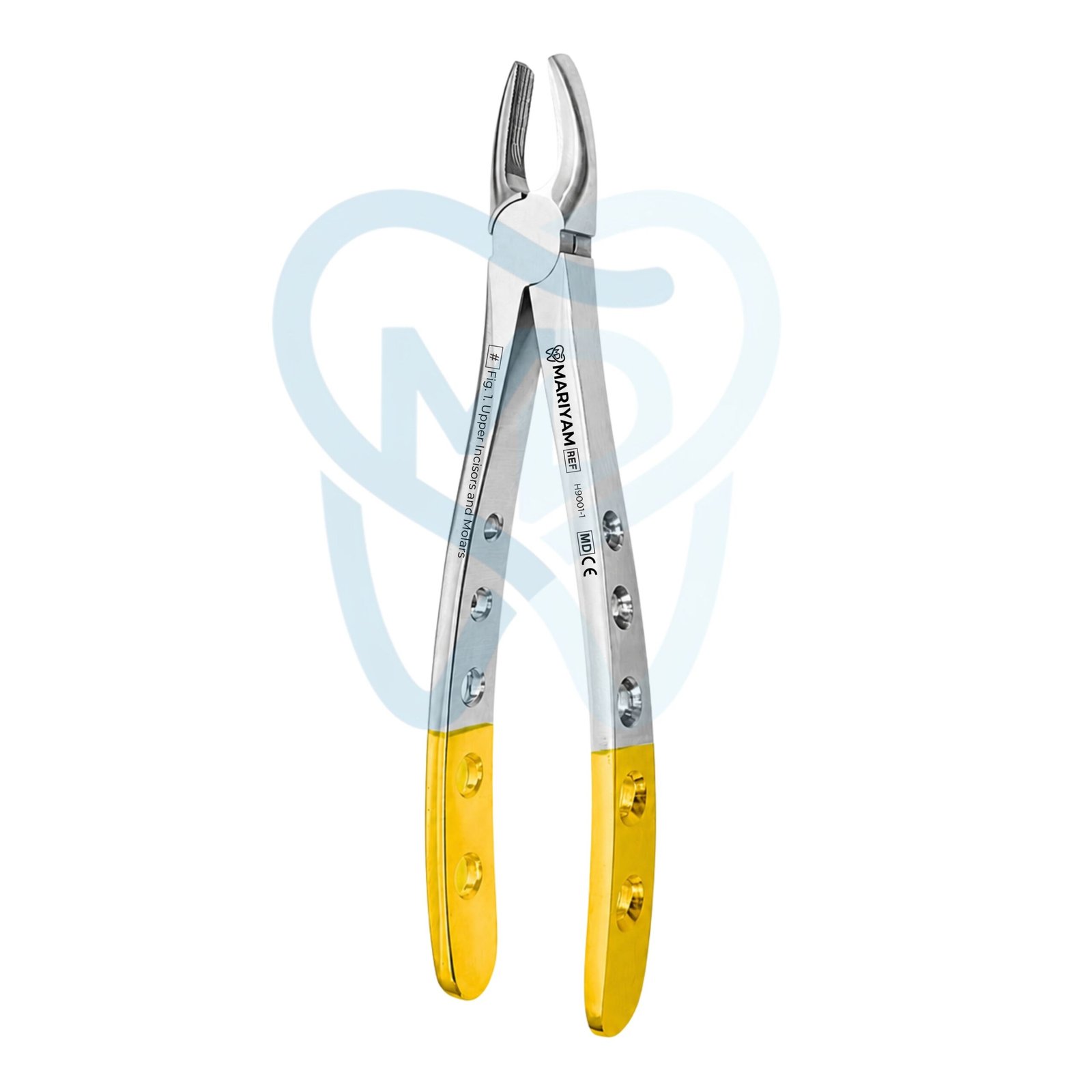 H9001-1 (2) Fig. 1. Upper Incisors and Molars - Image 1