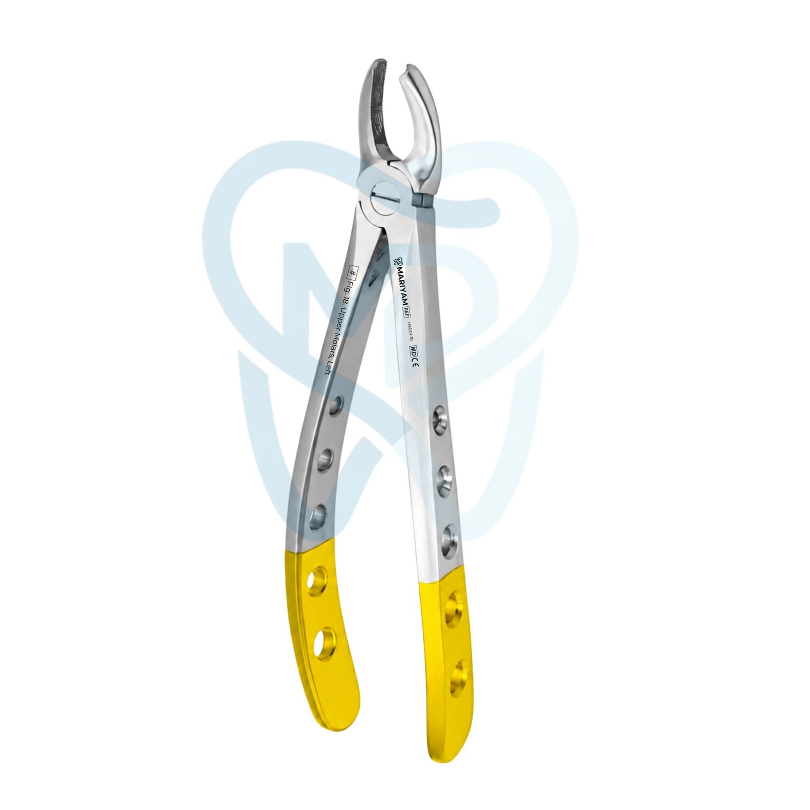 H9001-18 (2) Fig. 18. Upper Molars, Left - Image 1