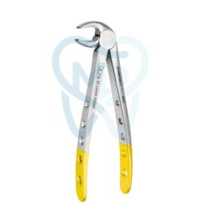 Fig. 22. Lower Molars