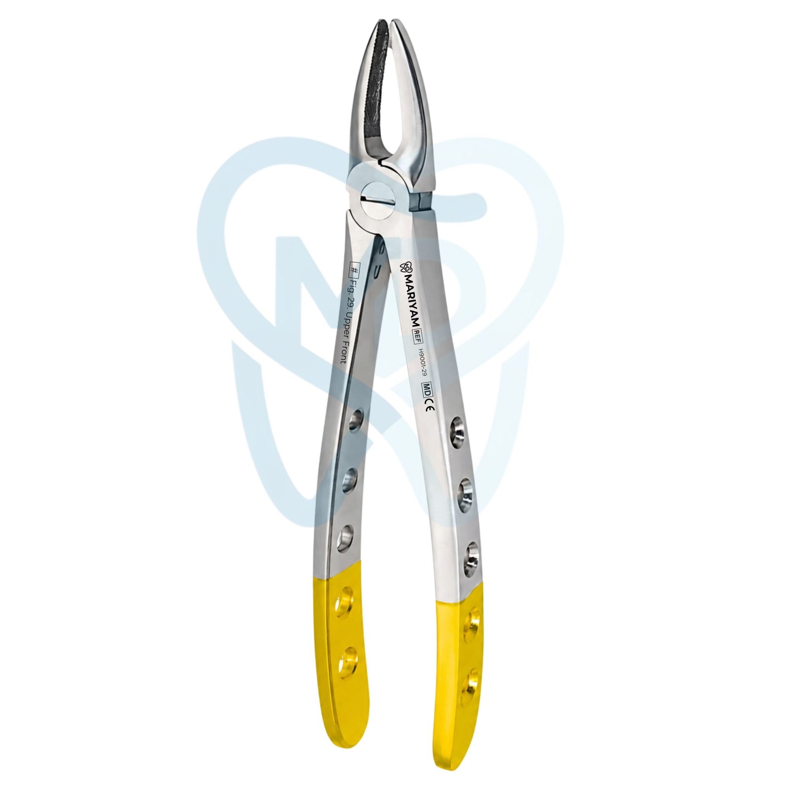 H9001-29 (2) Fig. 29. Upper Front - Image 1
