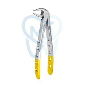 Fig. 33A. Lower Incisors, Premolars and Roots
