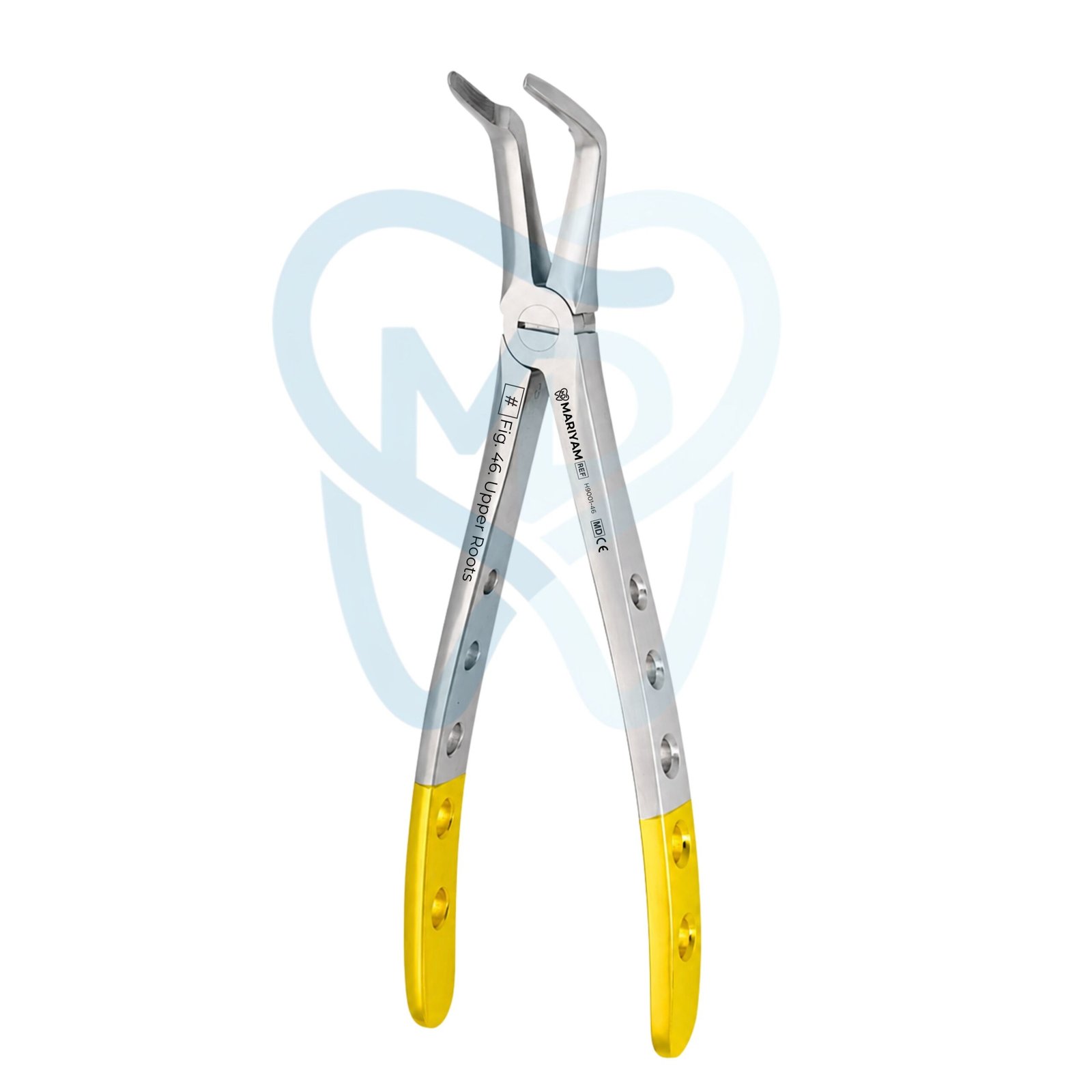 H9001-46 (2) Fig. 46. Upper Roots - Image 1