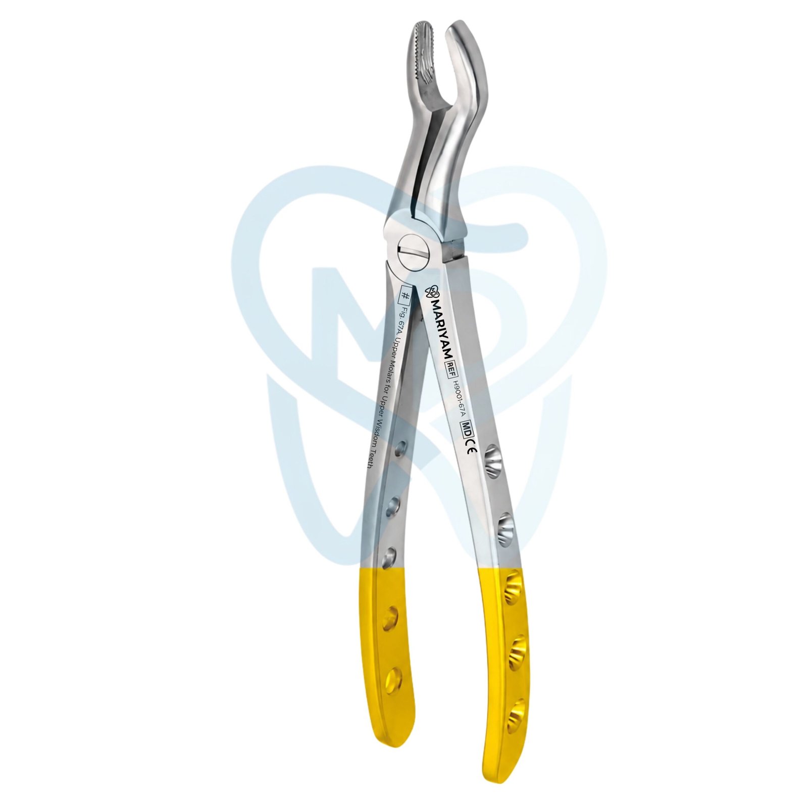 H9001-67A (2) Fig. 67A. Upper Molars for Upper Wisdom Teeth - Image 1
