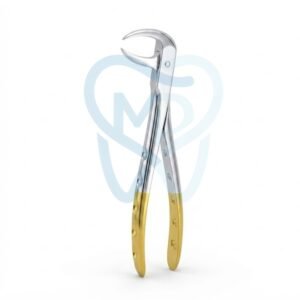 Fig. 86. Lower Molars