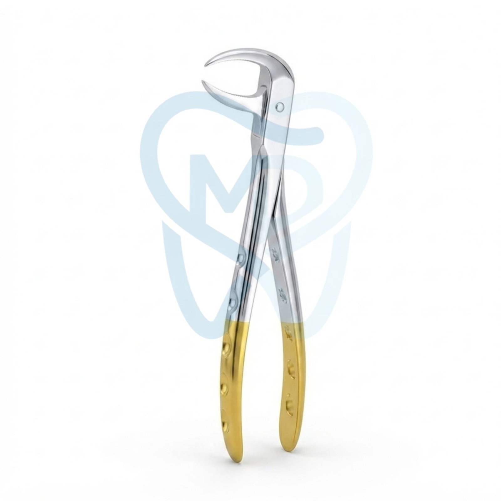 H9001-86 Fig. 86. Lower Molars - Image 1