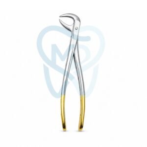 Fig. 86A. Lower Molars