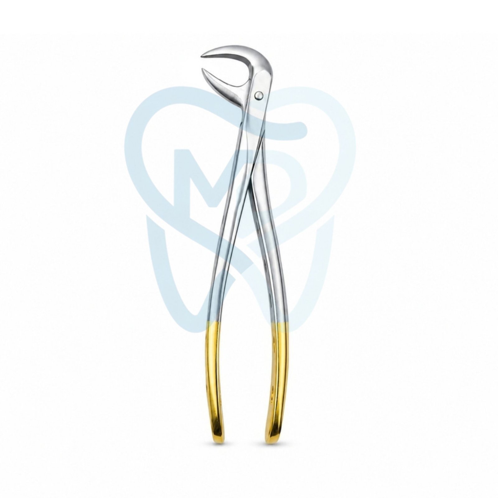 H9001-86b Fig. 86B. Lower Molars - Image 1