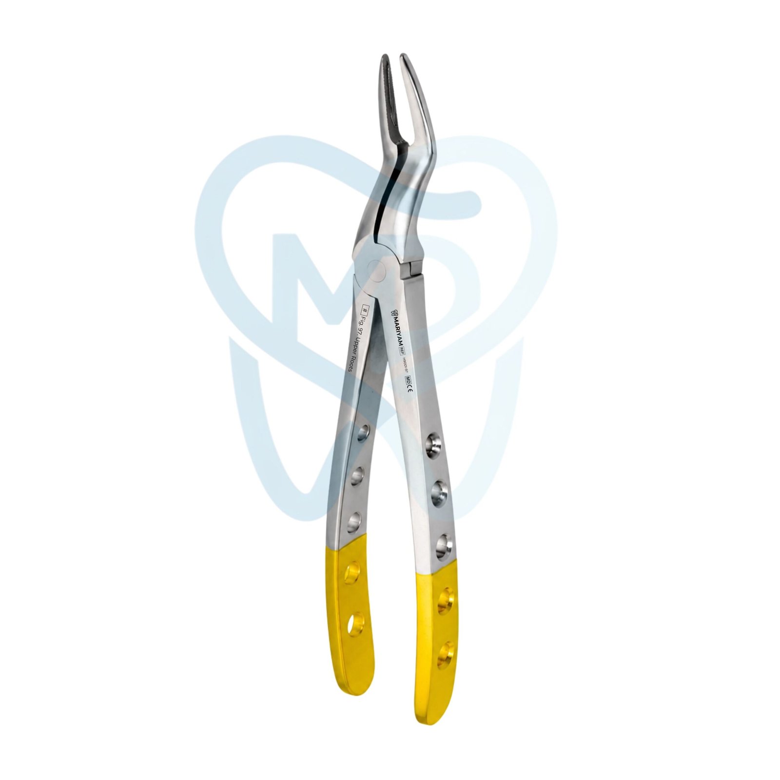 H9001-97 (2) Fig. 97. Upper Roots - Image 1