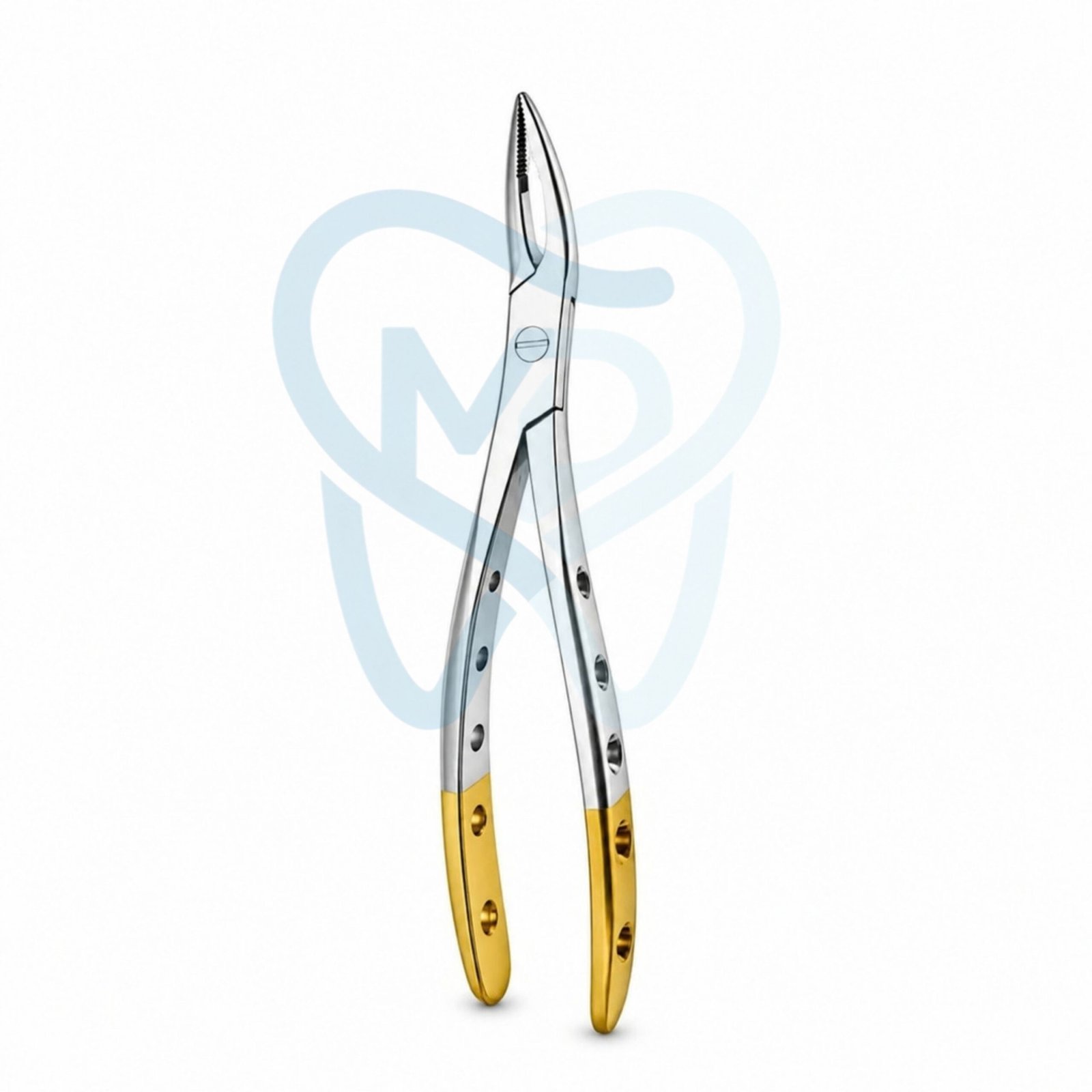 H9001-98 Fig. 98. Witzel (Upper Roots) - Image 1