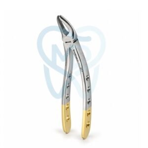 Fig. 99. Hertz (Lower Molars)