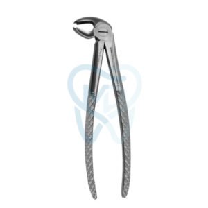 Fig. 22. Lower Molars
