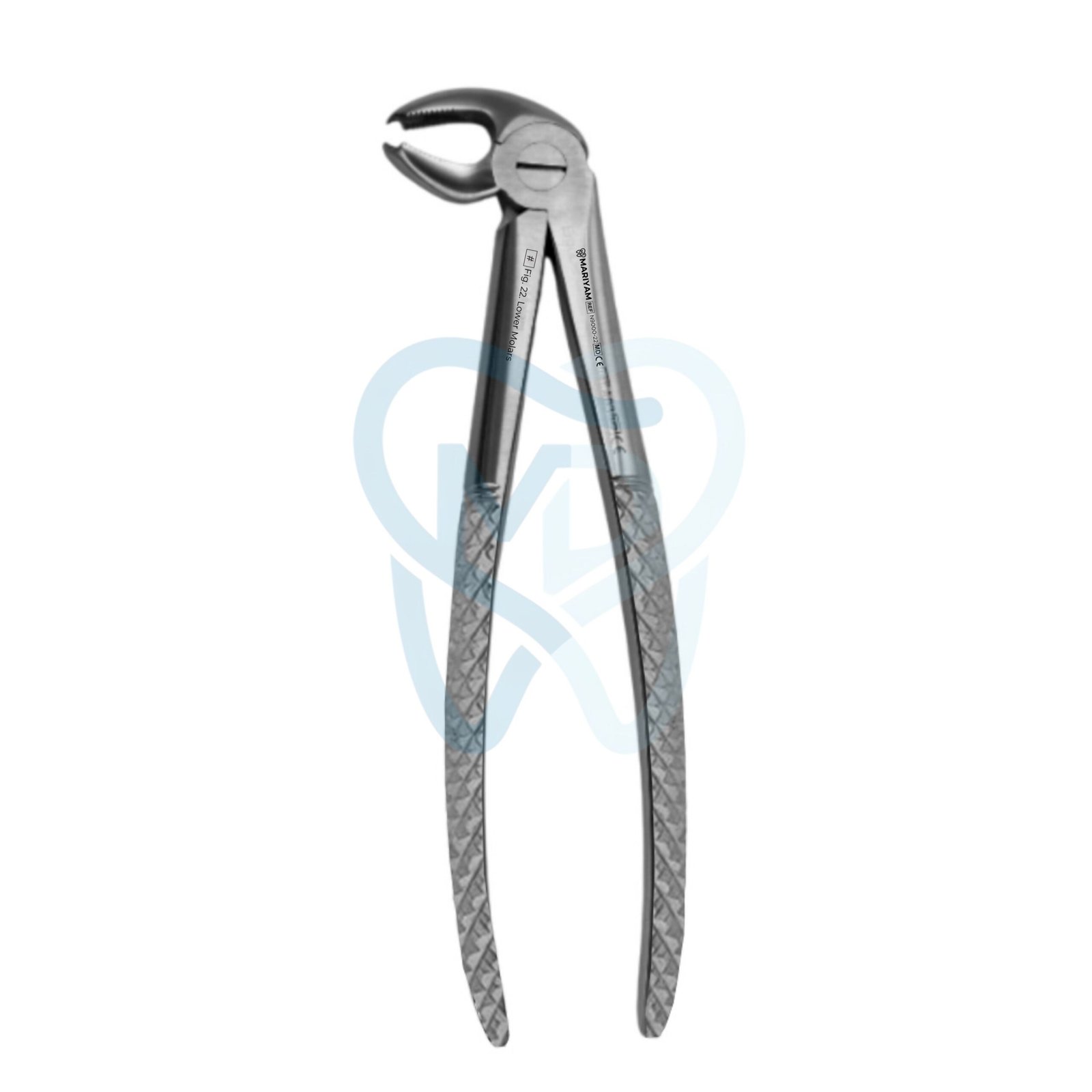 N9000-22 Fig. 22. Lower Molars - Image 1
