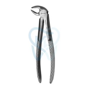 Fig. 24. Lower Molars, Left