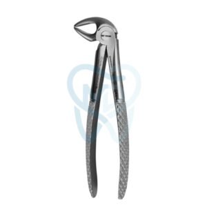 Fig. 33A. Lower Incisors, Premolars and Roots