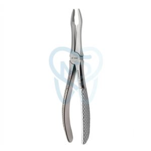 Fig. 41. Upper Roots