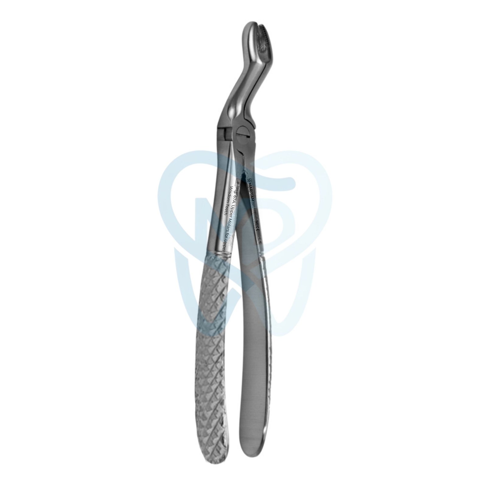 N9000-67A Fig. 67A. Upper Molars for Upper Wisdom Teeth - Image 1