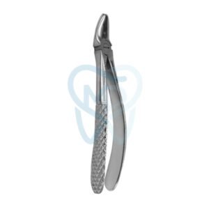Fig. 7. Upper Premolars