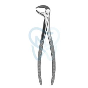 Fig. 86A. Lower Molars