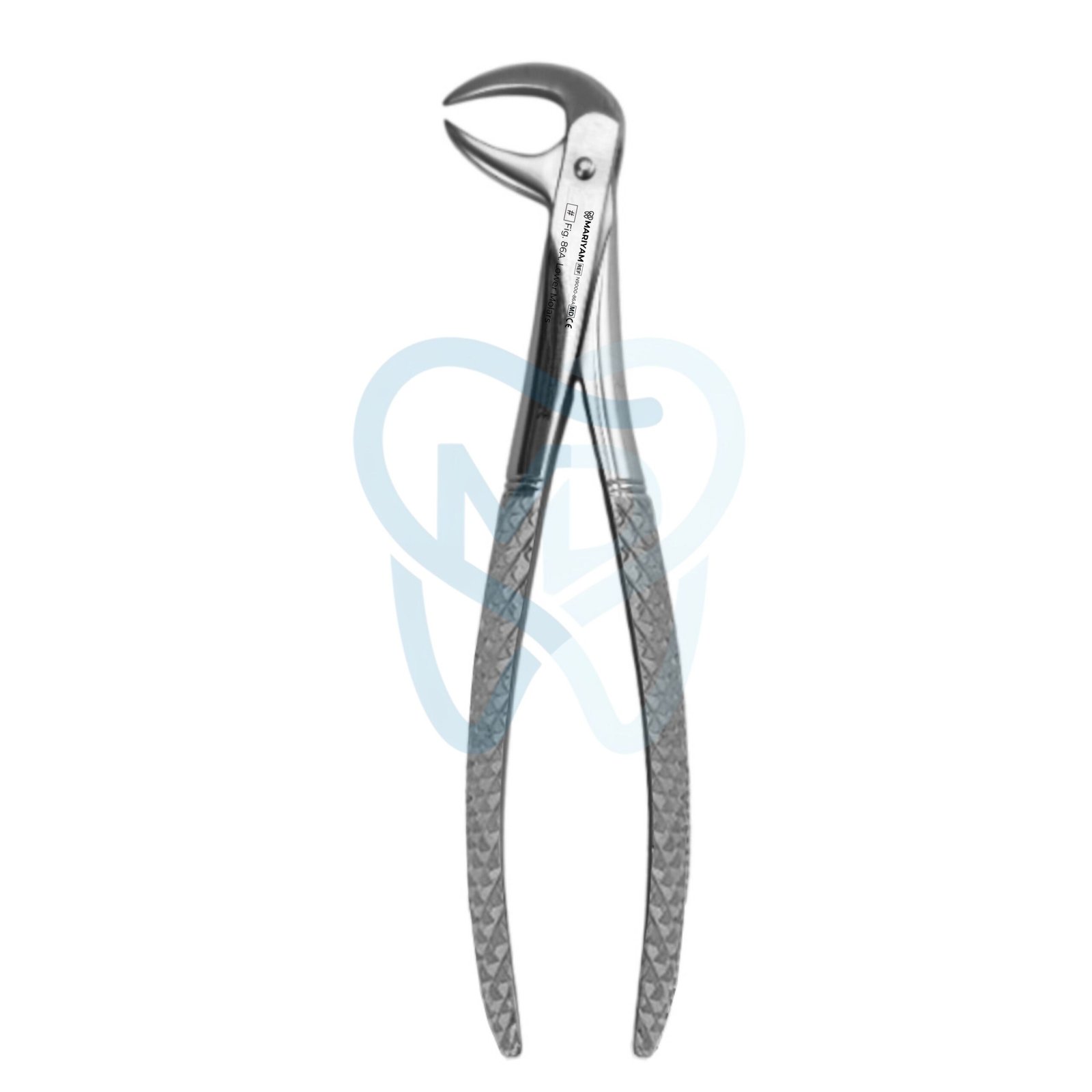 N9000-86A Fig. 86A. Lower Molars - Image 1